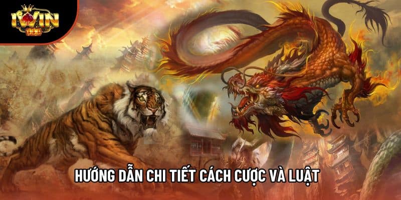 Hướng dẫn chi tiết cách cược và luật