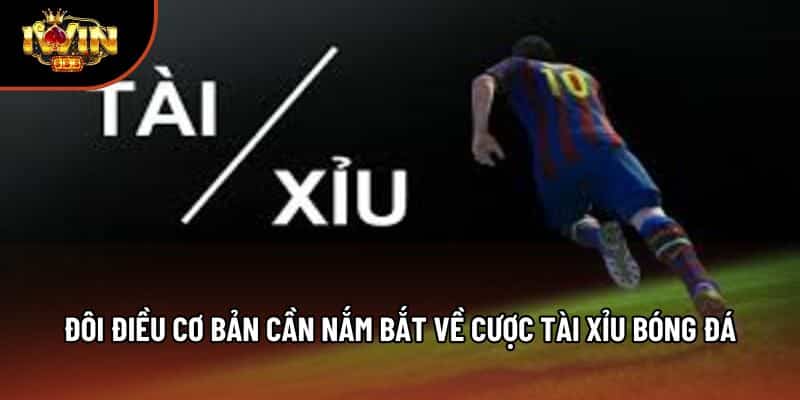 Đôi điều cơ bản cần nắm bắt về cược tài xỉu bóng đá